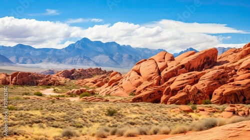 Panoramic landscape view of beautiful red rock canyon formations during a vibrant sunny day