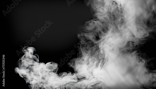 Smoke on black background with white copy space; silhouette style