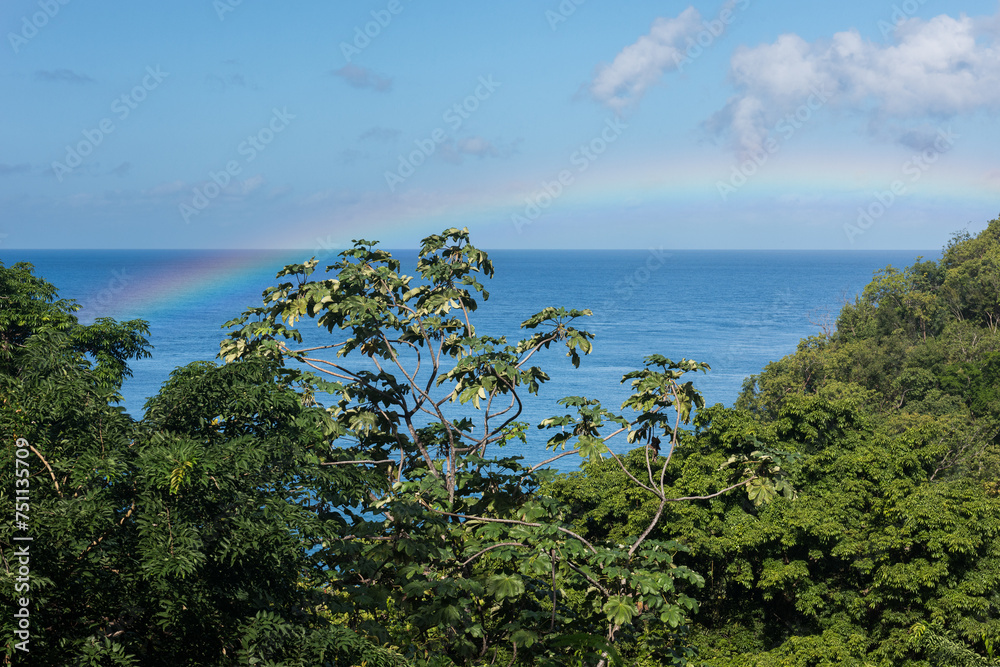 A rainbow frames the view looking West to the Caribbean Sea through tropical foliage on the island of St. Lucia in the West Indies.