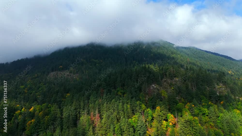 Aerial view of colourful forest on mountain slopes and cloudy sky. Canada Aerial view of colourful forest on mountain slopes and cloudy sky. Canada