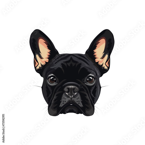Frenchie dog illustration  isolated on transparent background