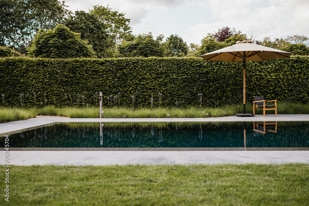 custom made wallpaper toronto digitalModern design garden with pool