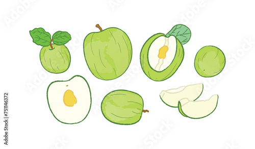 Fresh green whole and half jujube fruit