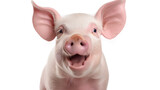 A cheerful pink piglet smiling directly at the camera, isolated on a white background.
