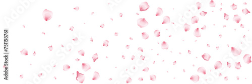 Flying pink petals transparent background. Beautiful floral overlay with lots of rose petals.
