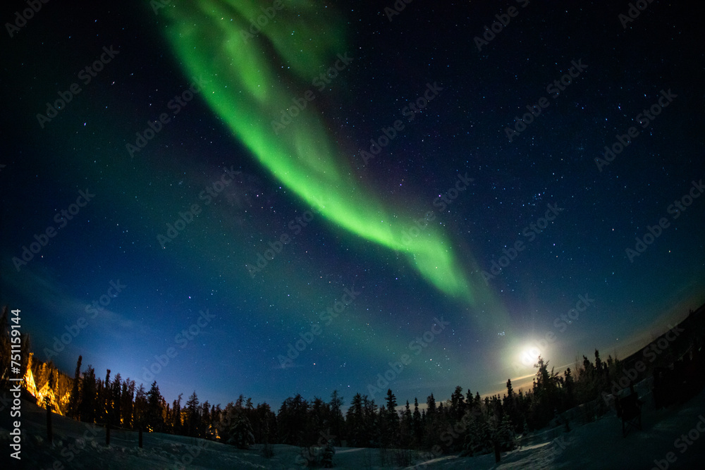 Naklejka premium カナダ イエローナイフのオーロラ