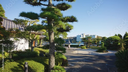 Japanese Pine Garden on Beautiful Sunny Day on Coast of Japan, Toba, Mie photo