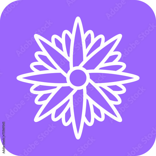 Aster Icon Style