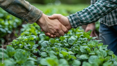 Farmer, team and handshake for greenhouse plants, agriculture or gardening with introduction and welcome. b2b people or entrepreneur shaking hands for farming deal, supply chain and agro business 