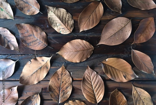 Autumn Leaves Wall Art A Monthly Trend for Your Home Generative AI