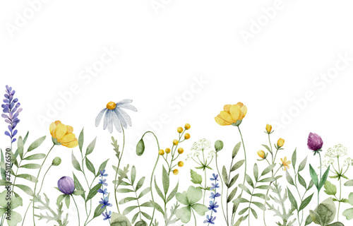 Wildflower Seamless Horizontal Border with Beautiful Meadow Flower