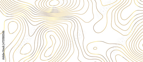 Abstract pattern with lines Topographic map. Geographic mountain relief . Modern design with white background golden line wavy pattern design. Background for desktop, topology, digital art .