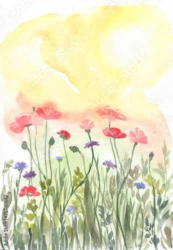Watercolor floral background poppy field