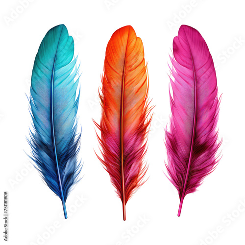 color feathers isolated on white © Tidarat