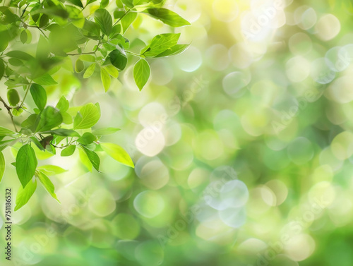 green nature background