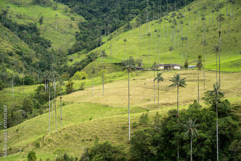 View of a ranch in Cocora Valley, Colombia View of a ranch in Cocora Valley, Colombia