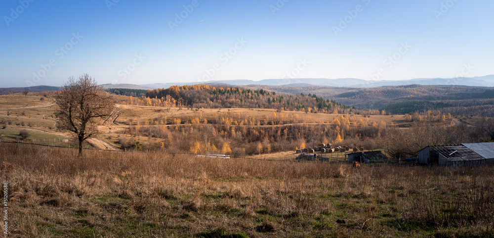Panoramic view of the hills with trees from Cluj region, Transyl