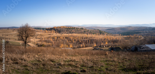 Panoramic view of the hills with trees from Cluj region  Transyl