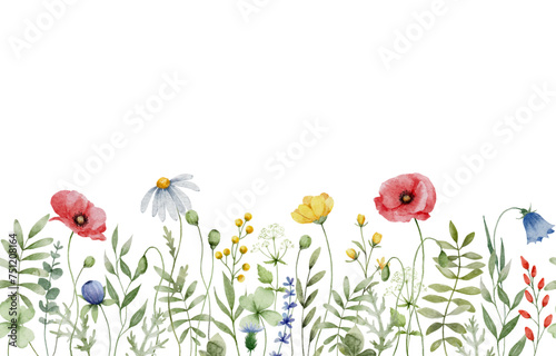 Watercolor Wildflower Seamless Horizontal Border