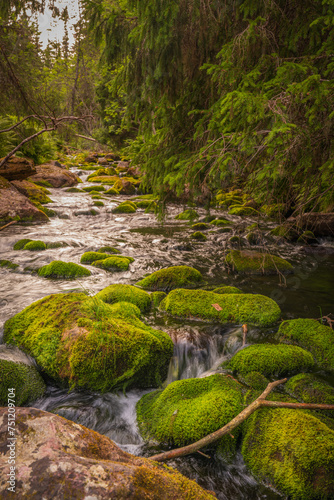 Fulufjället National Park, national park in Sweden, located in the commune of Älvdalen, in the Dalarna region.