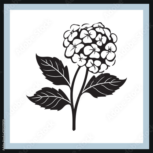 Hand drawn Hydrangea Silhouette, isolated hydrangea, flower icon