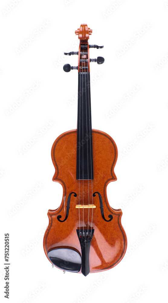 Obraz premium stringed musical instrument violin isolated on white background