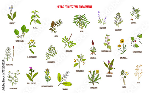 Best medicinal herbs for eczema