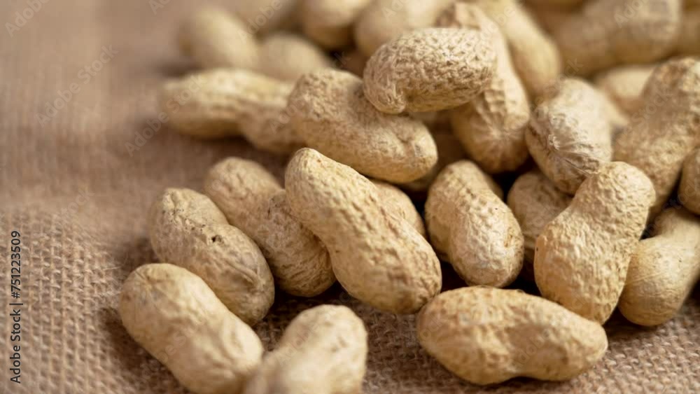 Organic peanuts in shell falling on a rustic rough burlap. Unpeeled roasted groundnuts. Ecological ingredients. Slow motion Organic peanuts in shell falling on a rustic rough burlap. Unpeeled roasted groundnuts. Ecological ingredients. Slow motion