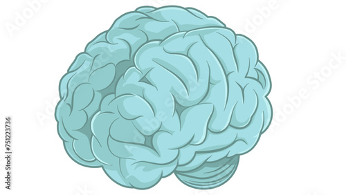 vector drawing of a brain without background