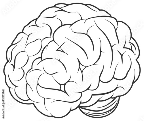 vector drawing of a brain without background