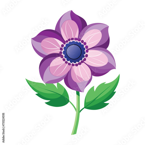 Anemone Flower Illustration on White Background