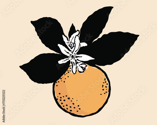 vector illustration of fresh orange fruit