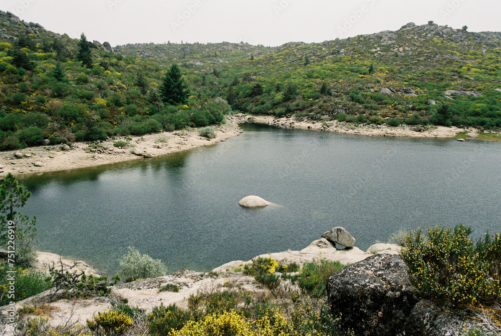 Summer landscape with a mountain lake Summer landscape with a mountain lake