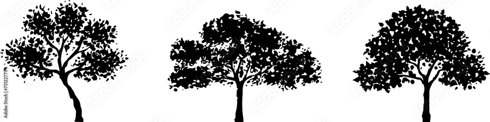 Set of hand-drawn silhouette tree, tropical, summer elements, vector flat illustration isolated on white background.