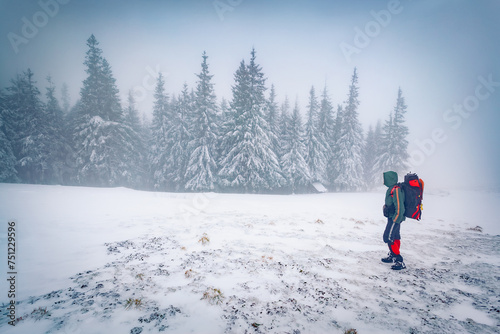 Hiker on the windy mountain glade. Misty winter scene of tourist with backpak in Carpathian mountains, Ukraine, Europe. Snowy morning view of mountain woodland. Traveling concept background.. photo