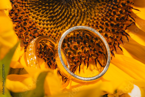 Wedding rings.  photo