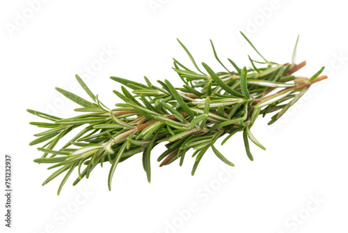 Rosemary Leaves Isolated On Transparent Background