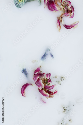Purple flowers in milk