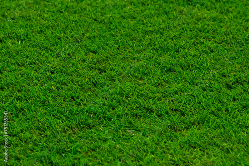 Close up soccer field lines. Background soccer pitch grass football stadium ground view. Stadium field ground grass detail.