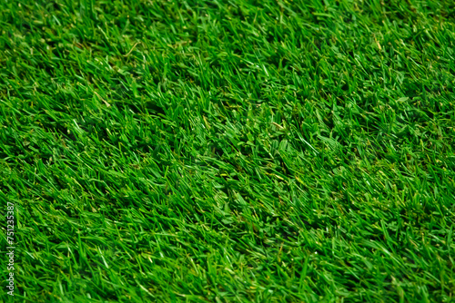 Wallpaper Mural Close up soccer field lines. Background soccer pitch grass football stadium ground view. Stadium field ground grass detail. Torontodigital.ca
