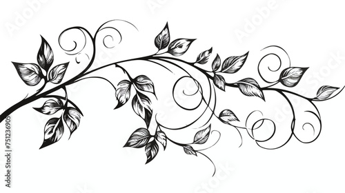 stylized twig with leaves and curls in black lines 