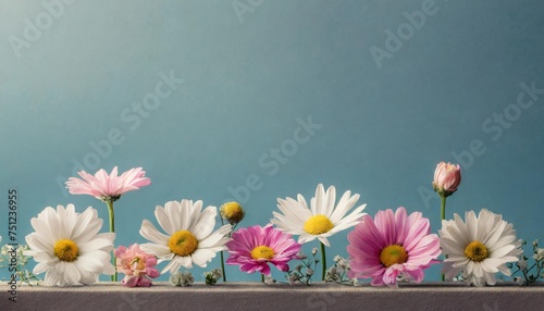 Conjunto de flores de primavera sobre fondo liso