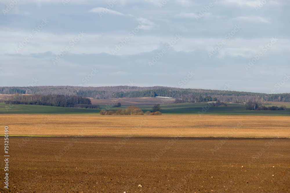 agricultural fields in winter after the snow melts