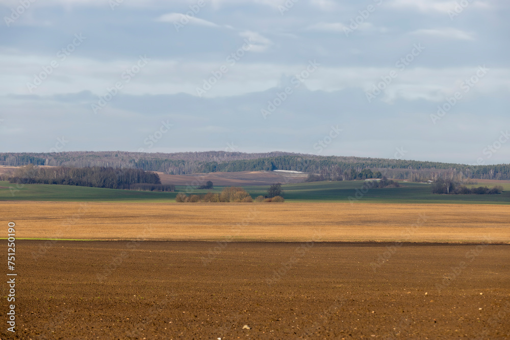 Fototapeta premium agricultural fields in winter after the snow melts