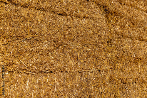 stacks of straw in the field in the winter season