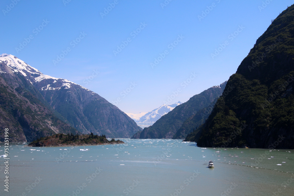 Alaska view into the Endicott Arm with the Dawes Glacier in the background, Boundary Ranges of Alaska, United States