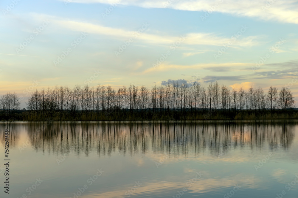 A thin row of deciduous trees on the lake shore A thin row of deciduous trees on the lake shore