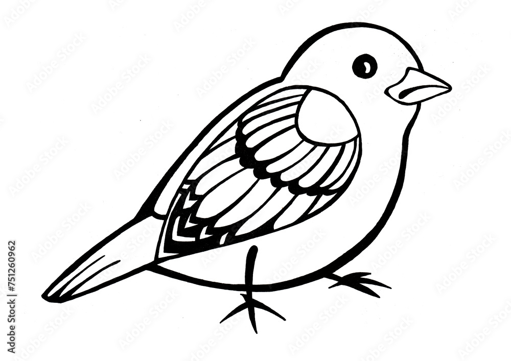 Obraz premium Outline drawing of a bird. Isolated on white background. Black outline. Realistic drawing. Printmaking style. Turned to the right side. Stylization.