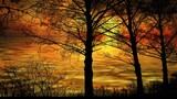 A fiery sunset paints the sky through the silhouettes of trees, creating a breathtaking and vibrant spectacle.