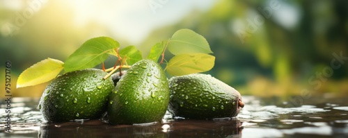 Fresh ripe bio avocados from farmwith perfect light  food bannner. Generative Ai. © annamaria